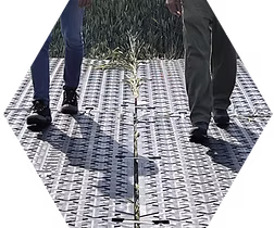 Verlegung-EU-Track-2.png